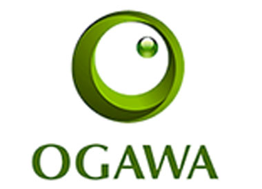 Ogawa Fair